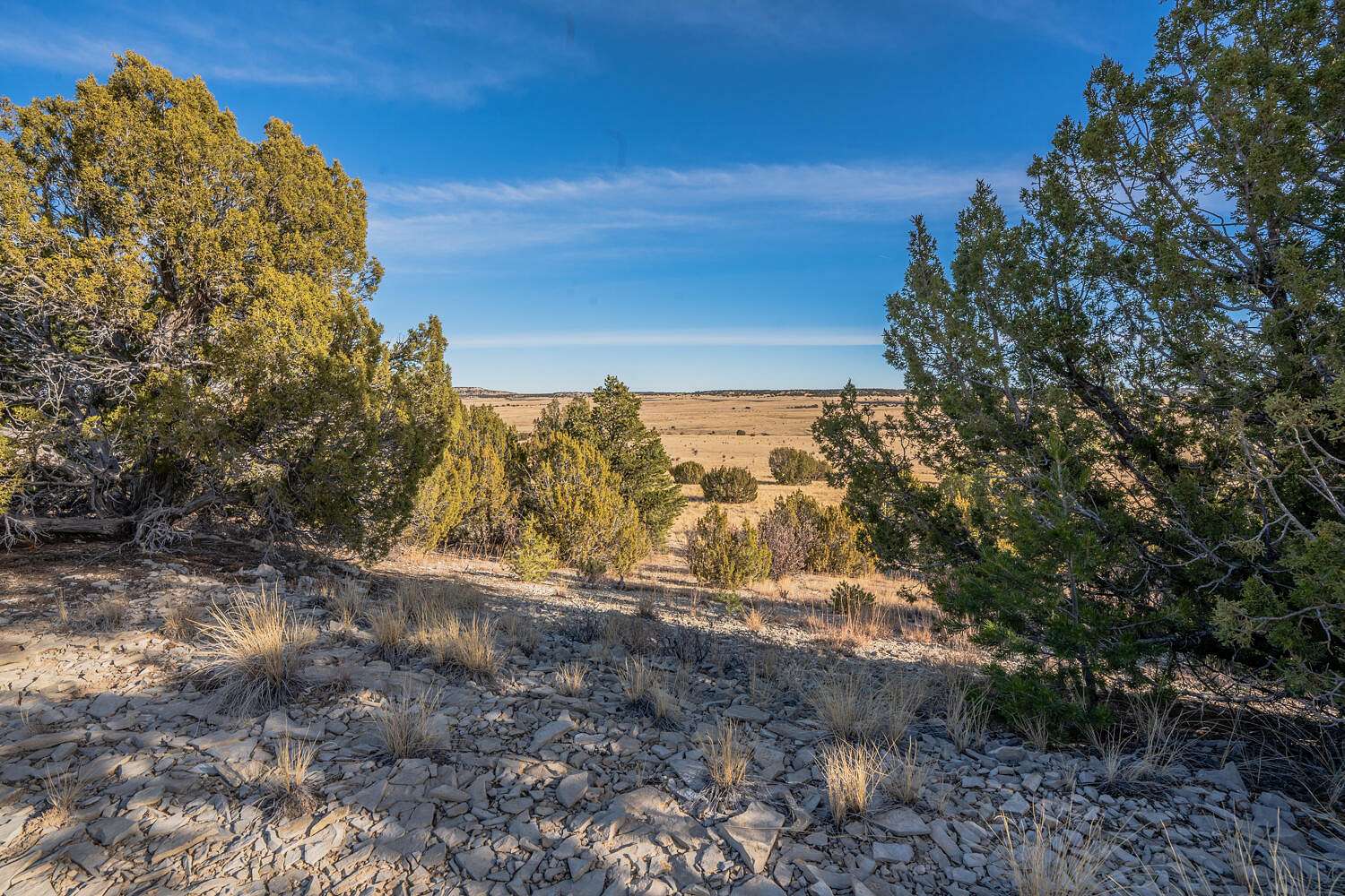 80 Acres of Land for Sale in Pueblo, Colorado