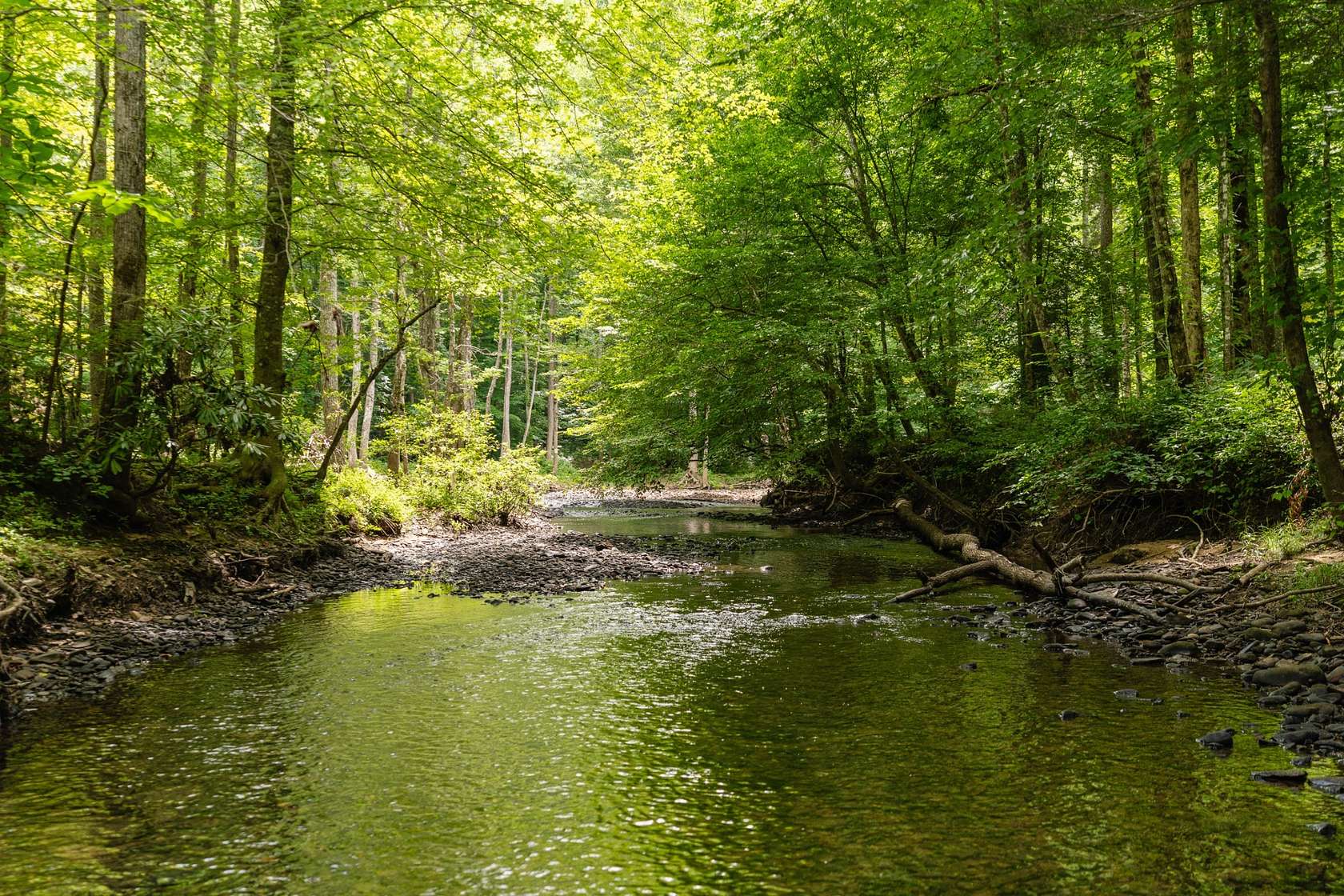 2 Acres of Residential Land for Sale in Crawford, Tennessee