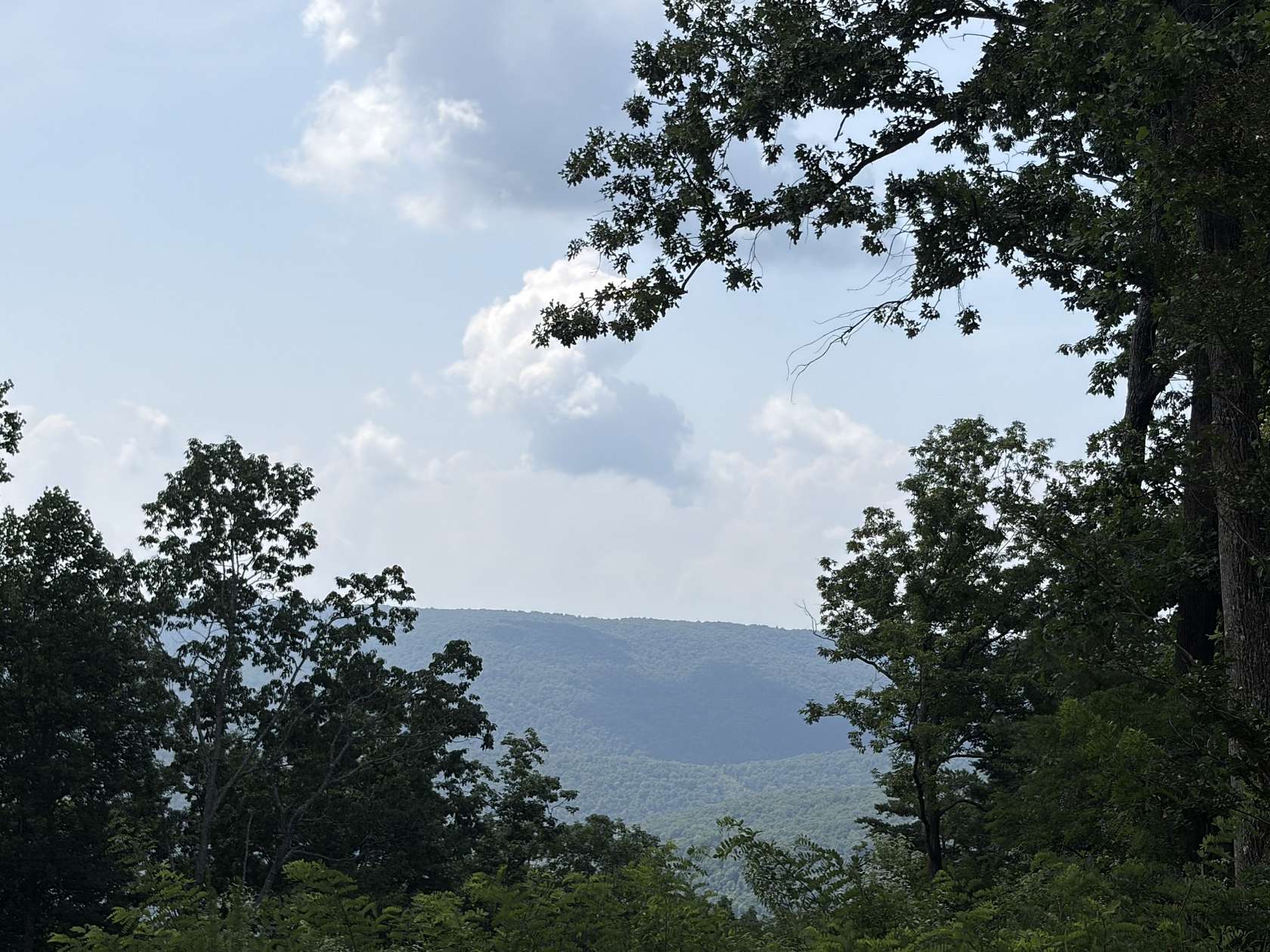 Residential Land for Sale in Monteagle, Tennessee
