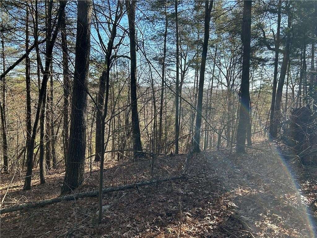 40 Acres of Land for Sale in Demorest, Georgia