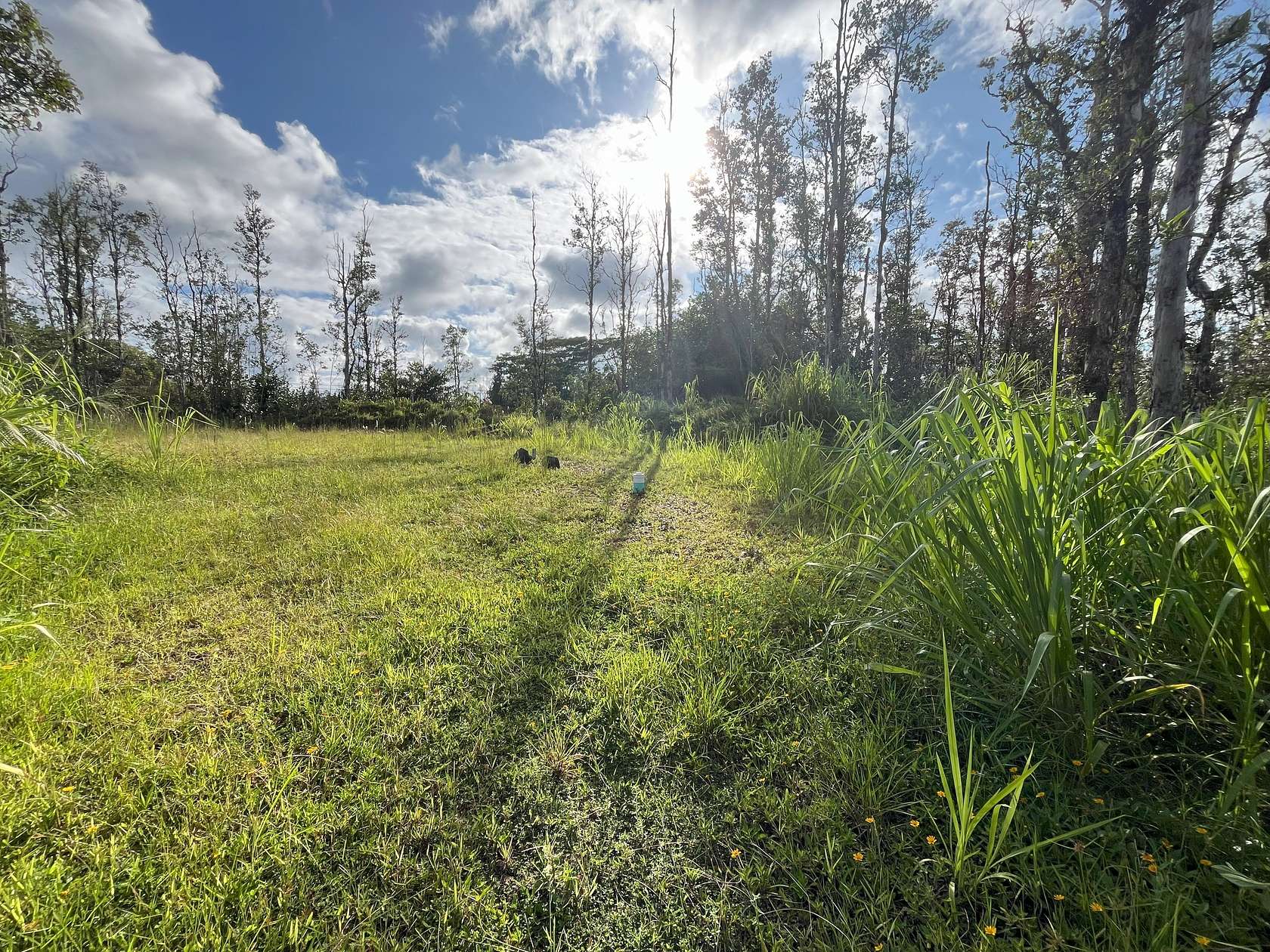 0.28 Acres of Residential Land for Sale in Pahoa, Hawaii
