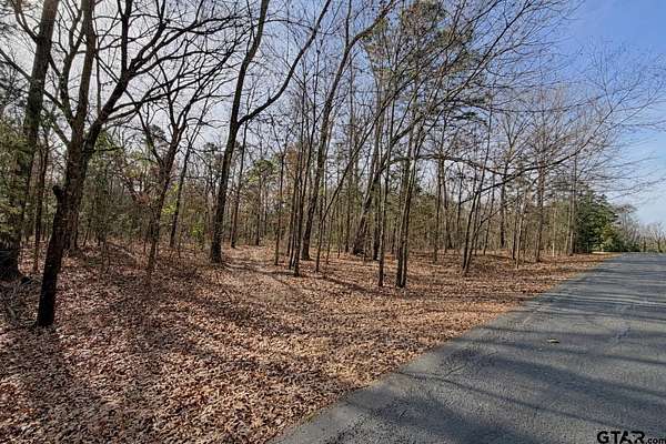 0.69 Acres of Residential Land for Sale in Scroggins, Texas