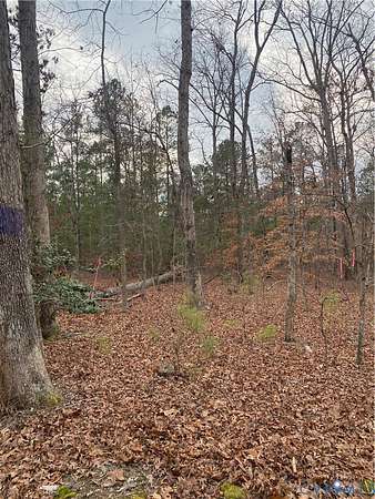 2 Acres of Residential Land with Home for Sale in Hanover, Virginia