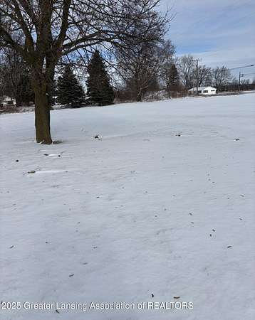 7.3 Acres of Commercial Land for Sale in Morrice, Michigan