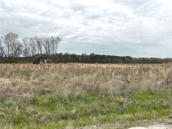 10.4 Acres of Land for Sale in Lumber Bridge, North Carolina
