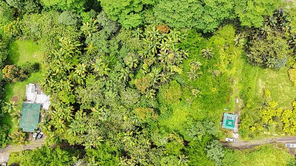 0.23 Acres of Residential Land for Sale in Pahoa, Hawaii