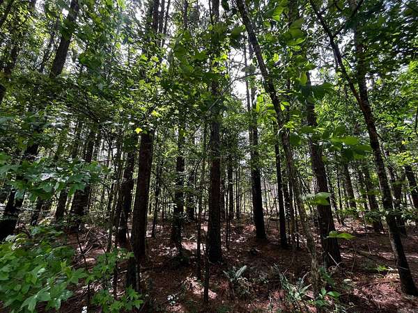40 Acres of Recreational & Residential Land for Sale in Bauxite, Arkansas