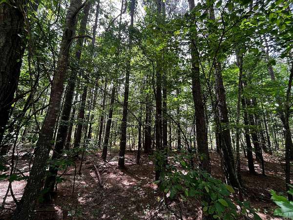 40 Acres of Recreational & Residential Land for Sale in Bauxite, Arkansas