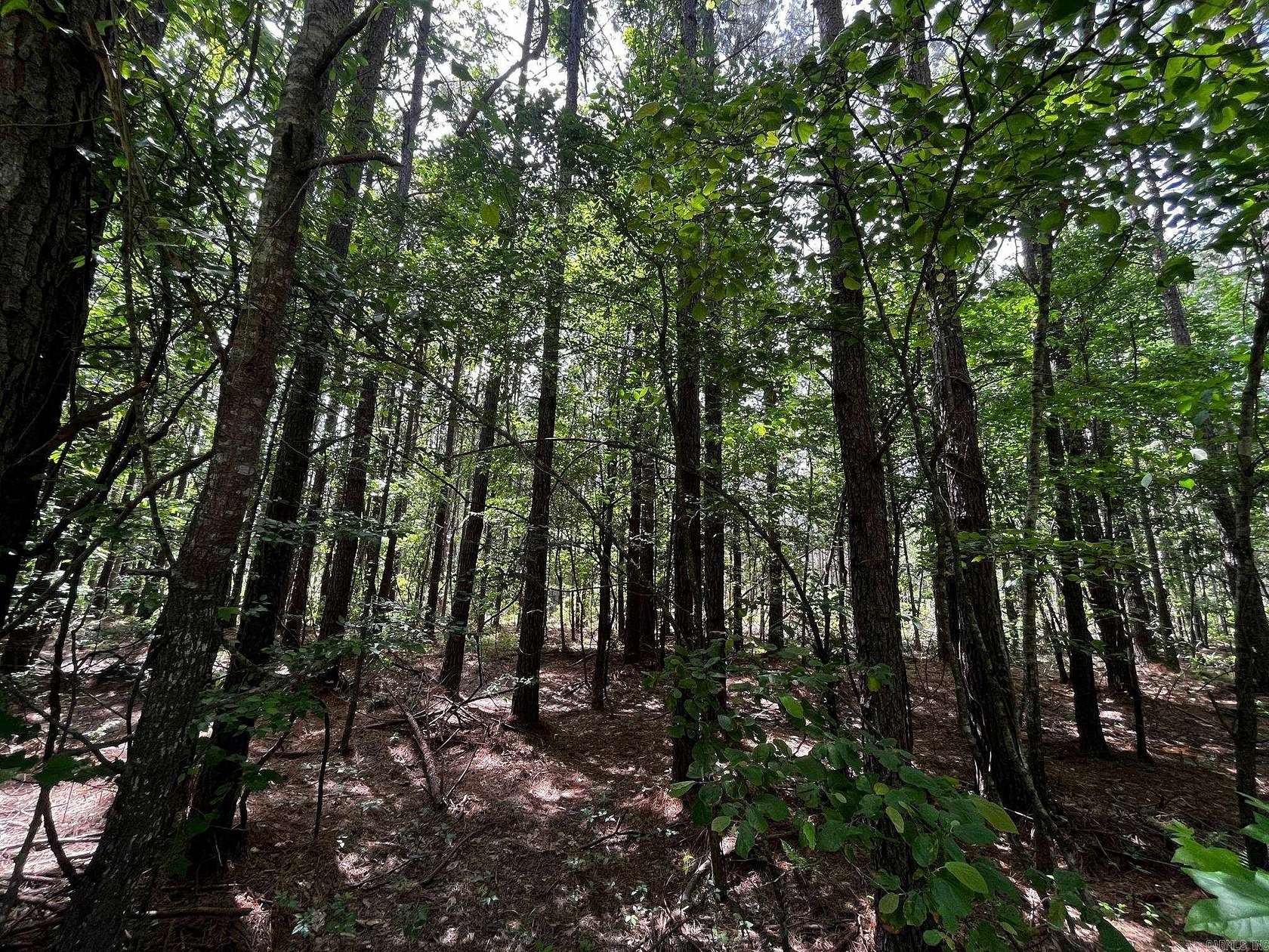 40 Acres of Recreational & Residential Land for Sale in Bauxite, Arkansas