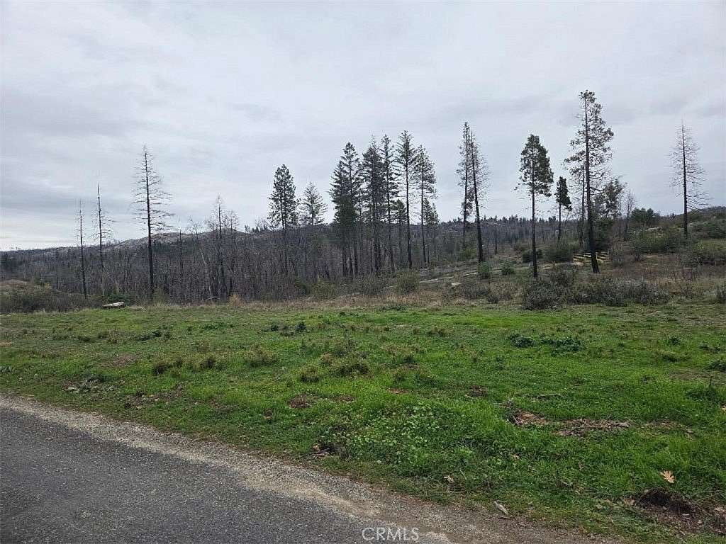 0.88 Acres of Land for Sale in Berry Creek, California