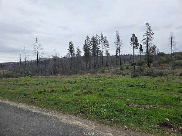 0.88 Acres of Residential Land for Sale in Berry Creek, California