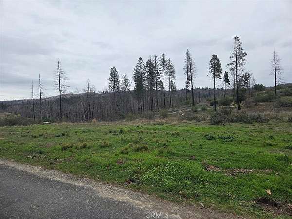 0.88 Acres of Land for Sale in Berry Creek, California
