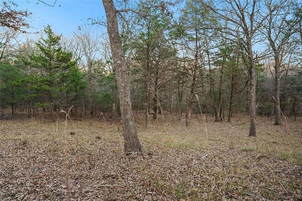 0.7 Acres of Residential Land for Sale in Point, Texas