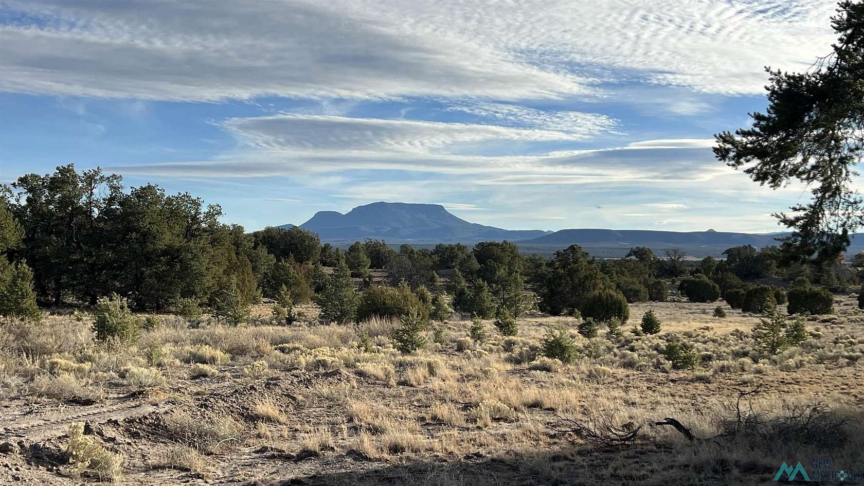 11 Acres of Recreational Land for Sale in Pie Town, New Mexico
