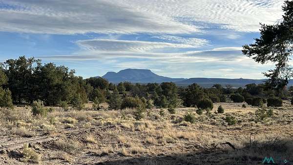 11 Acres of Recreational Land for Sale in Pie Town, New Mexico