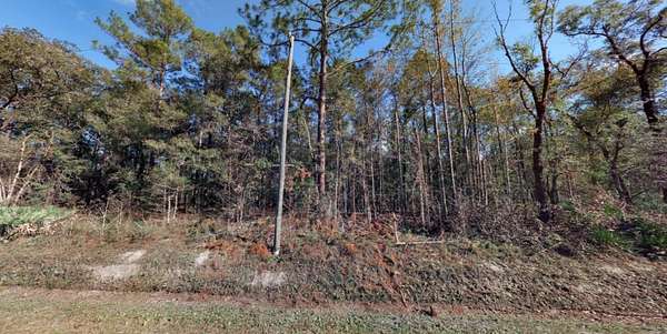 2.27 Acres of Residential Land for Sale in Hastings, Florida