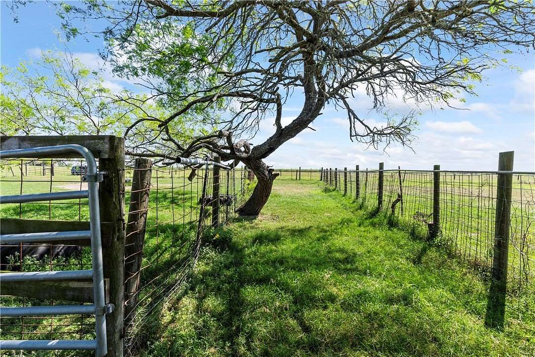 11.3 Acres of Land for Sale in Kingsville, Texas
