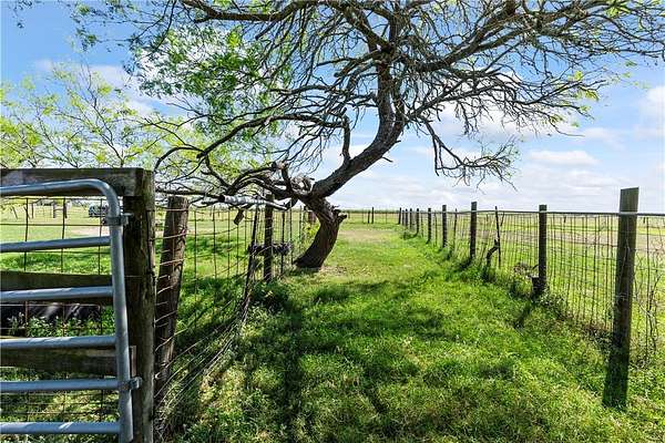 11.3 Acres of Land for Sale in Kingsville, Texas