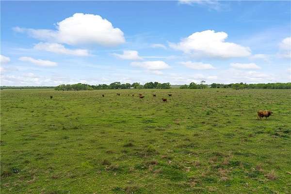 11.3 Acres of Recreational & Residential Land for Sale in Kingsville, Texas