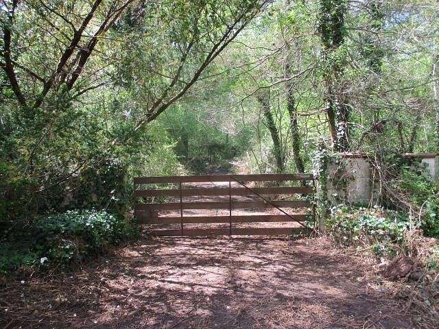 1 Acre of Residential Land for Sale in Grant, Alabama