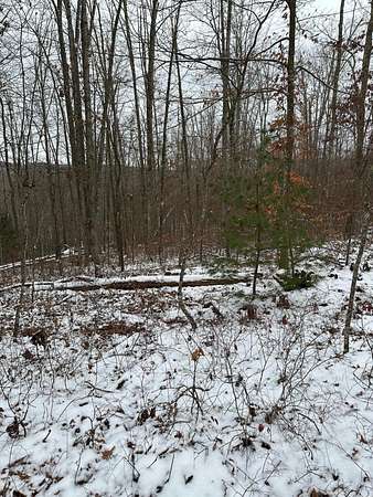 10.2 Acres of Land for Sale in Lewisburg, West Virginia
