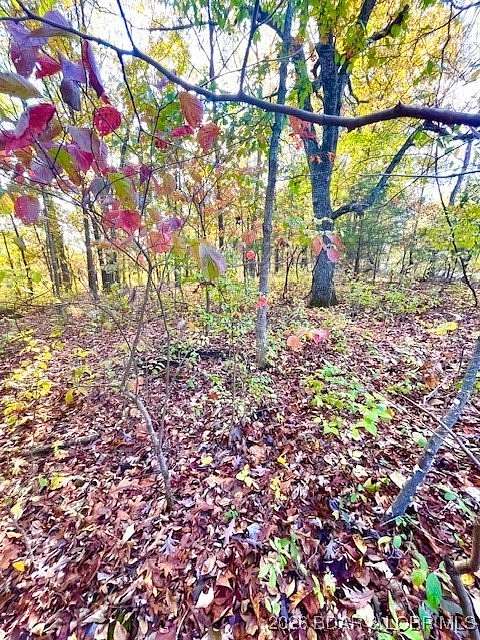 0.95 Acres of Residential Land for Sale in Barnett, Missouri