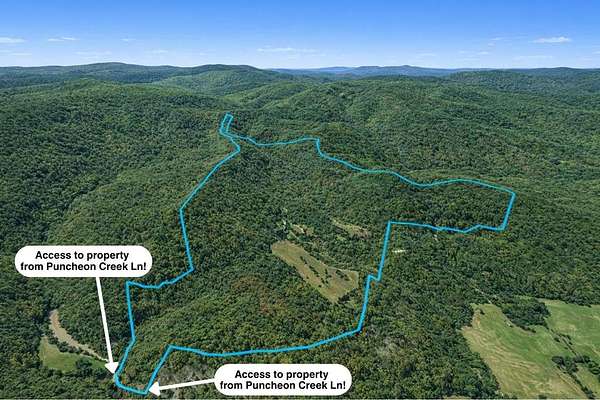 704 Acres of Land for Sale in Allred, Tennessee