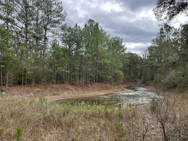 20 Acres of Recreational Land & Farm for Sale in Vernon, Florida