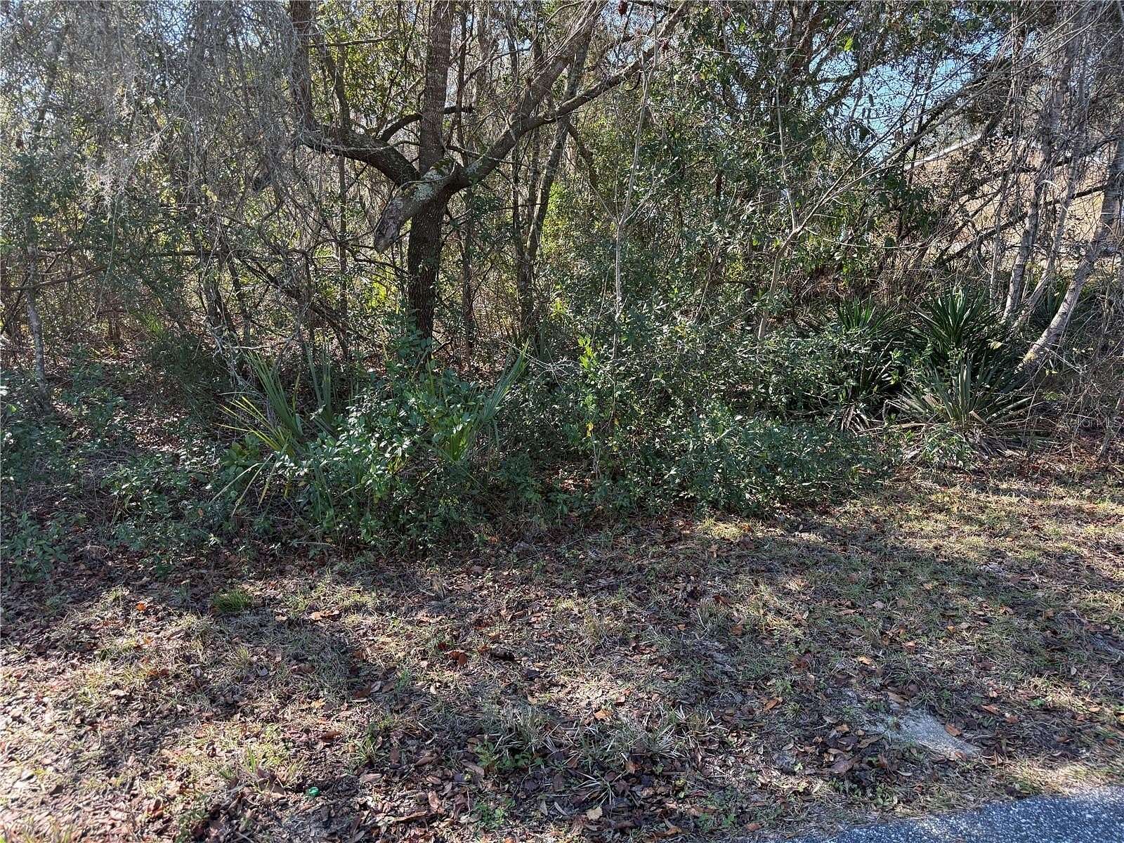 0.36 Acres of Residential Land for Sale in Ocala, Florida