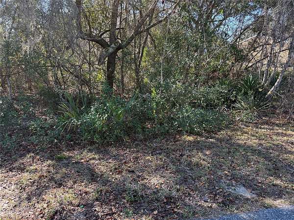 0.36 Acres of Residential Land for Sale in Ocala, Florida