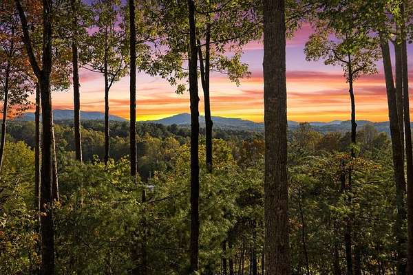 2.86 Acres of Land with Home for Sale in Morganton, Georgia