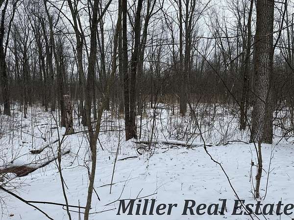 0.29 Acres of Land for Sale in Hastings, Michigan