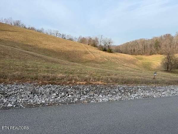 0.99 Acres of Residential Land for Sale in New Tazewell, Tennessee