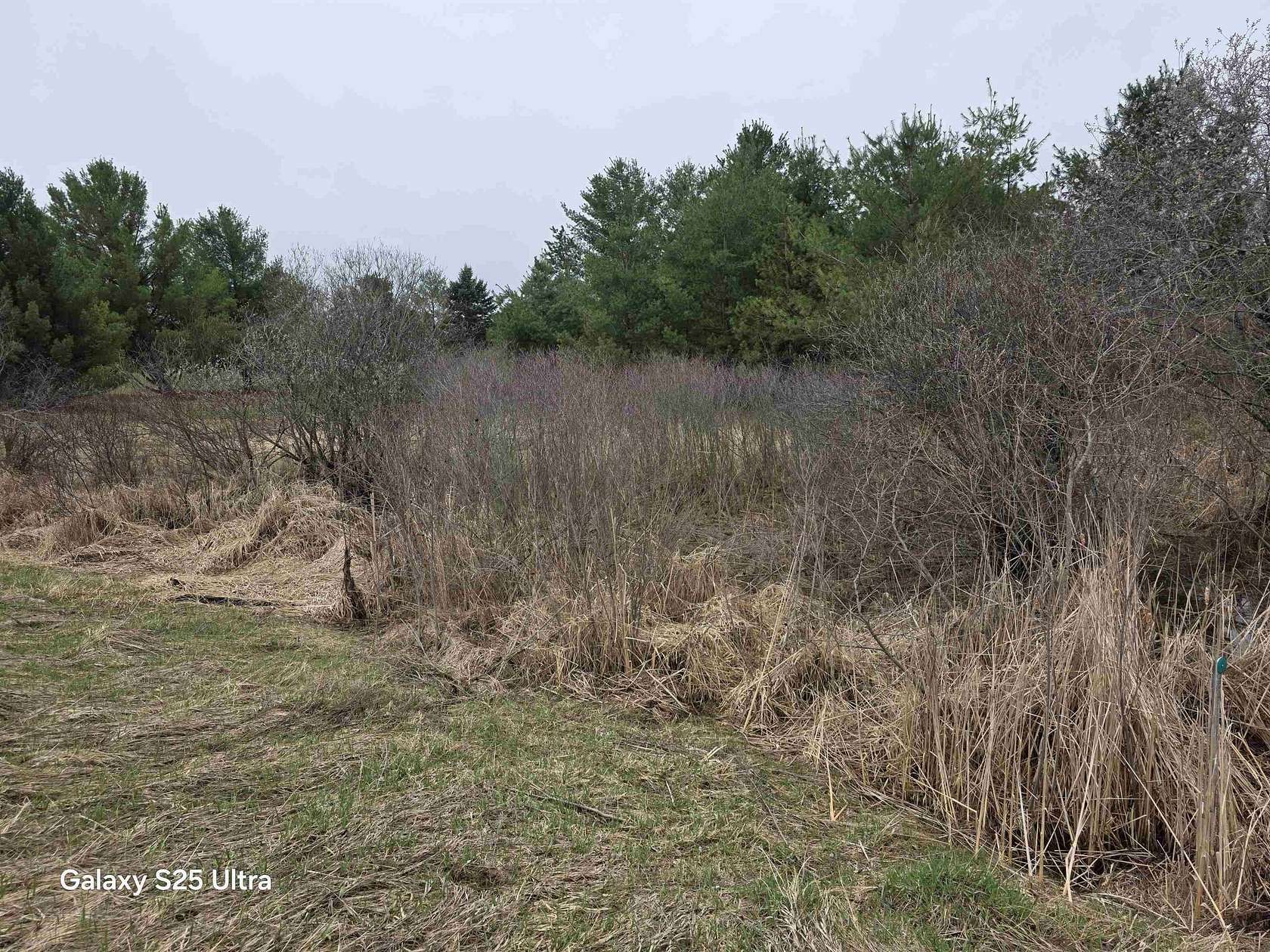 0.39 Acres of Residential Land for Sale in Gladwin, Michigan