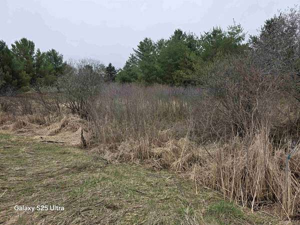0.39 Acres of Residential Land for Sale in Gladwin, Michigan