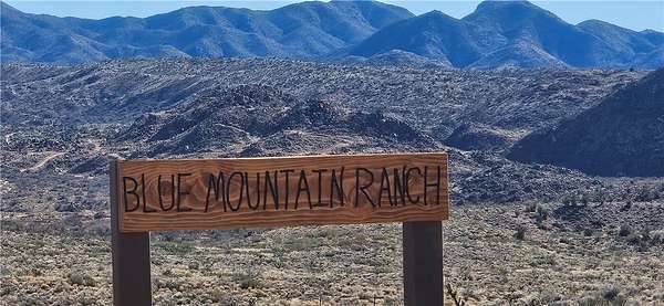 39.3 Acres of Agricultural Land for Sale in Kingman, Arizona