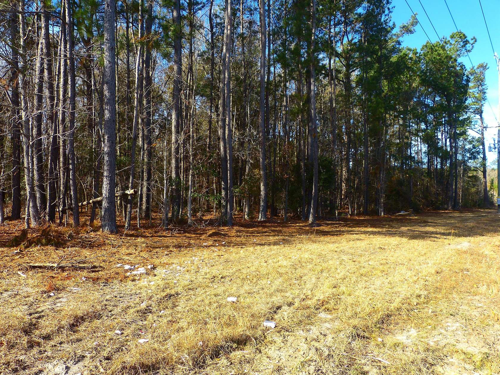 4.75 Acres of Land for Sale in Summerville, South Carolina