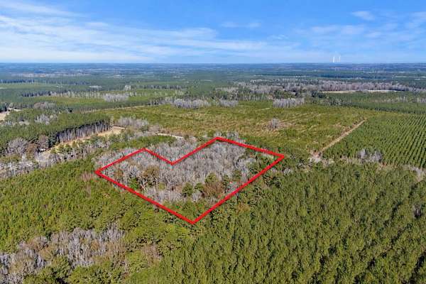 4.75 Acres of Land for Sale in Summerville, South Carolina