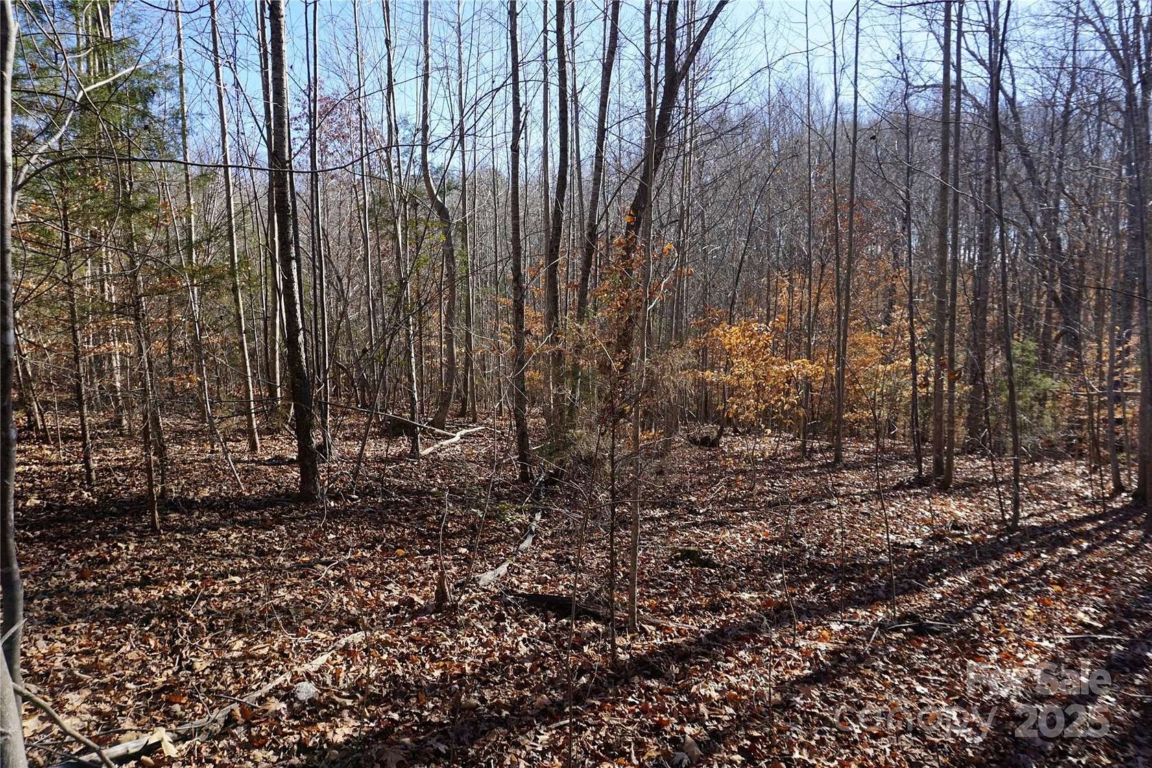 10 Acres of Land for Sale in York, South Carolina