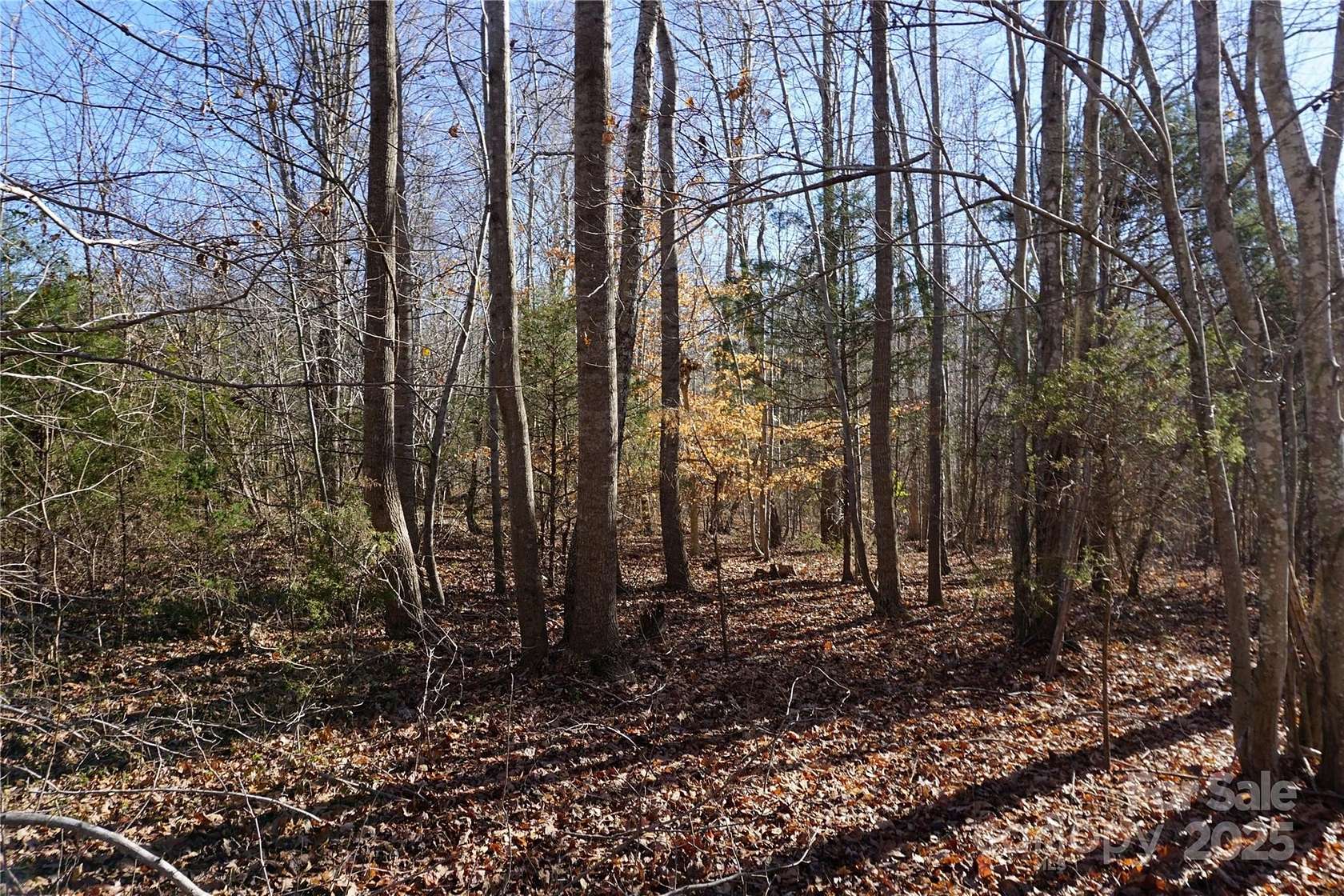 13 Acres of Agricultural Land for Sale in York, South Carolina