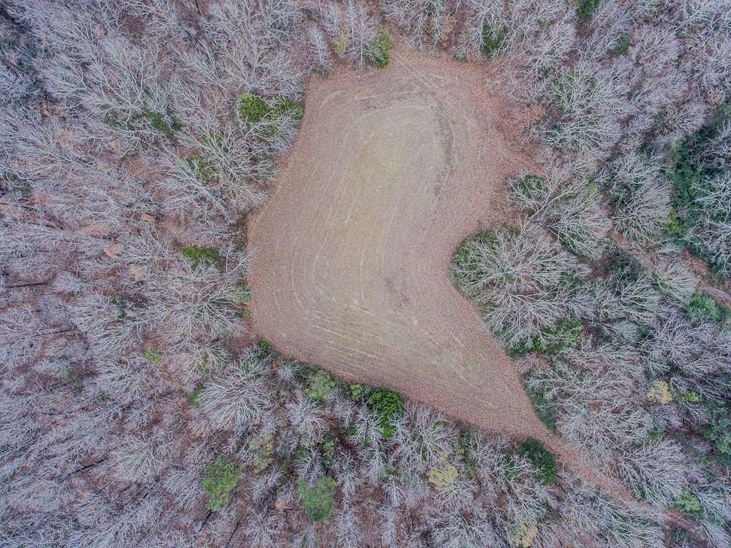 20 Acres of Recreational Land for Sale in Abbeville, Mississippi