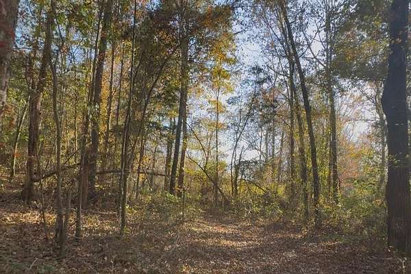 20 Acres of Recreational & Residential Land for Sale in Abbeville, Mississippi