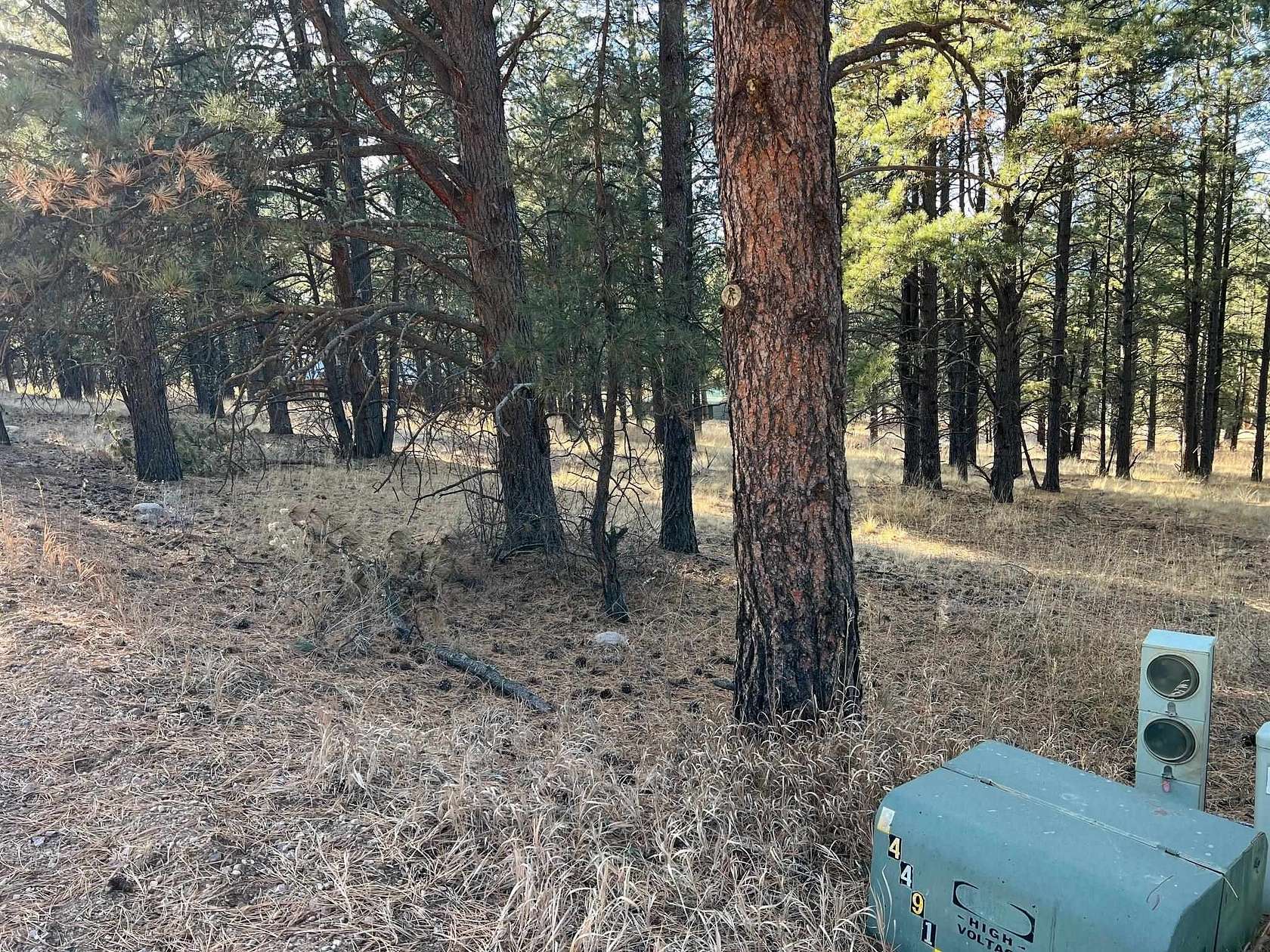0.5 Acres of Residential Land for Sale in Angel Fire, New Mexico