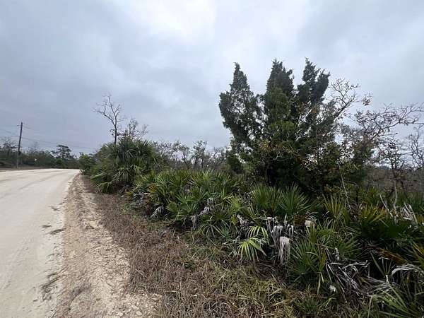 5 Acres of Residential Land for Sale in Perry, Florida