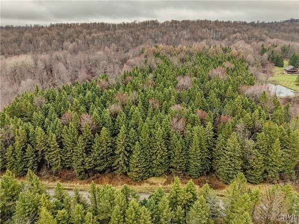 12 Acres of Land for Sale in Schuyler Town, New York