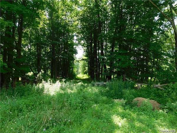 137 Acres of Recreational Land for Sale in Greenville, New York
