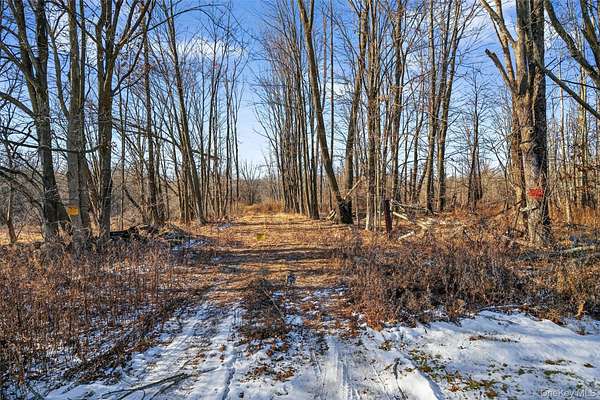 137 Acres of Recreational Land for Sale in Greenville, New York