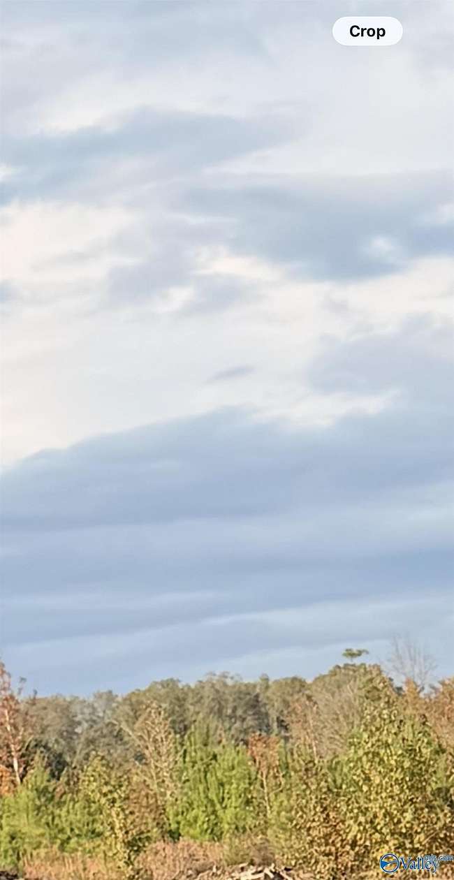 11.1 Acres of Land for Sale in Piedmont, Alabama