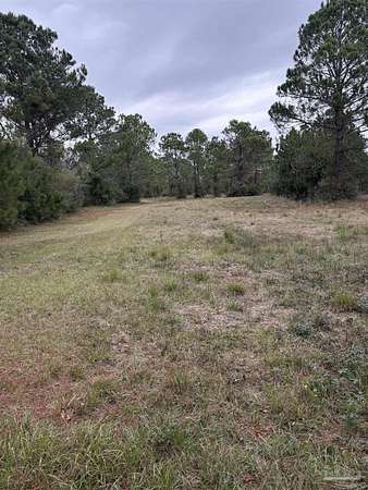5.7 Acres of Residential Land for Sale in Lillian, Alabama