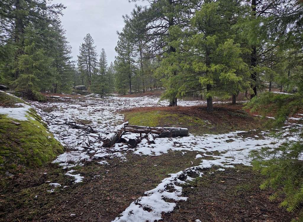 5 Acres of Recreational Land for Sale in Newport, Washington